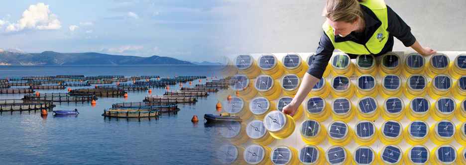 	<div class='custombg'><h2>
        <a href='http://www.sealite.com/sealite-products-for-aquaculture-clients' title='Aquaculture'>Aquaculture</a>
      </h2>
      <a href='http://www.sealite.com/sealite-products-for-aquaculture-clients' title='Aquaculture'><p class='slider-desc'>
        Clear navigational aids for aquaculture sites such as maritime buoyage and synchronised boundary lighting.      </p></a>
    	  <div class='more'>
        <a class='button button-medium slider-button' href='http://www.sealite.com/sealite-products-for-aquaculture-clients' title='Aquaculture'>
          MORE
        </a>
      </div></div>      
